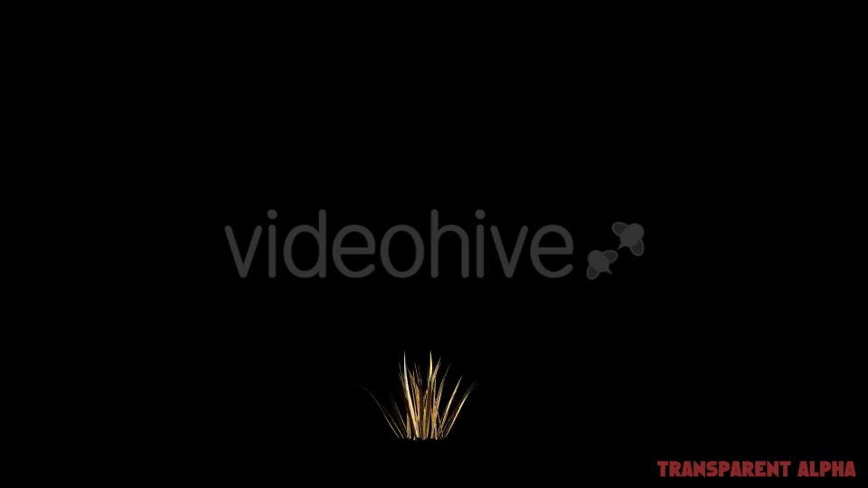 Gold Wheat Videohive 19467616 Motion Graphics Image 2