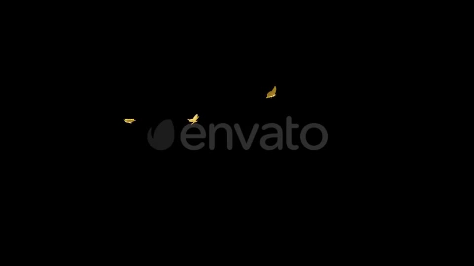 Golden Butterflies Three Flying Around Transparent Loop Videohive 22116674 Motion Graphics Image 1