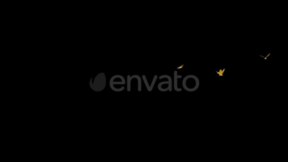 Golden Butterflies Three Flying Around Transparent Loop Videohive 22116674 Motion Graphics Image 2