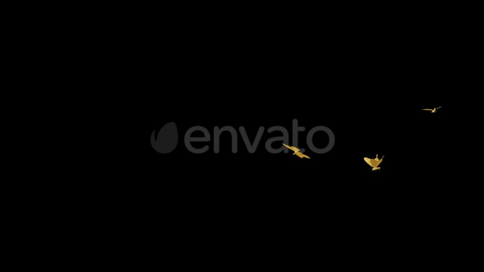 Golden Butterflies Three Flying Around Transparent Loop Videohive 22116674 Motion Graphics Image 3
