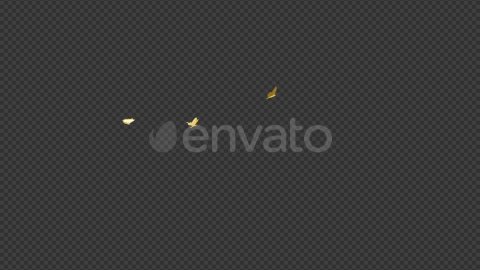 Golden Butterflies Three Flying Around Transparent Loop Videohive 22116674 Motion Graphics Image 7