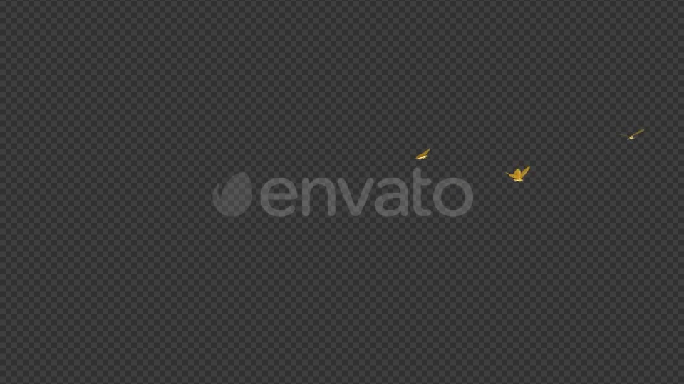 Golden Butterflies Three Flying Around Transparent Loop Videohive 22116674 Motion Graphics Image 8
