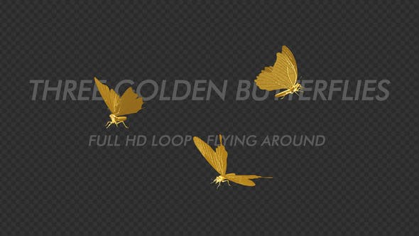Golden Butterflies Three Flying Around Transparent Loop - 22116674 Videohive Download