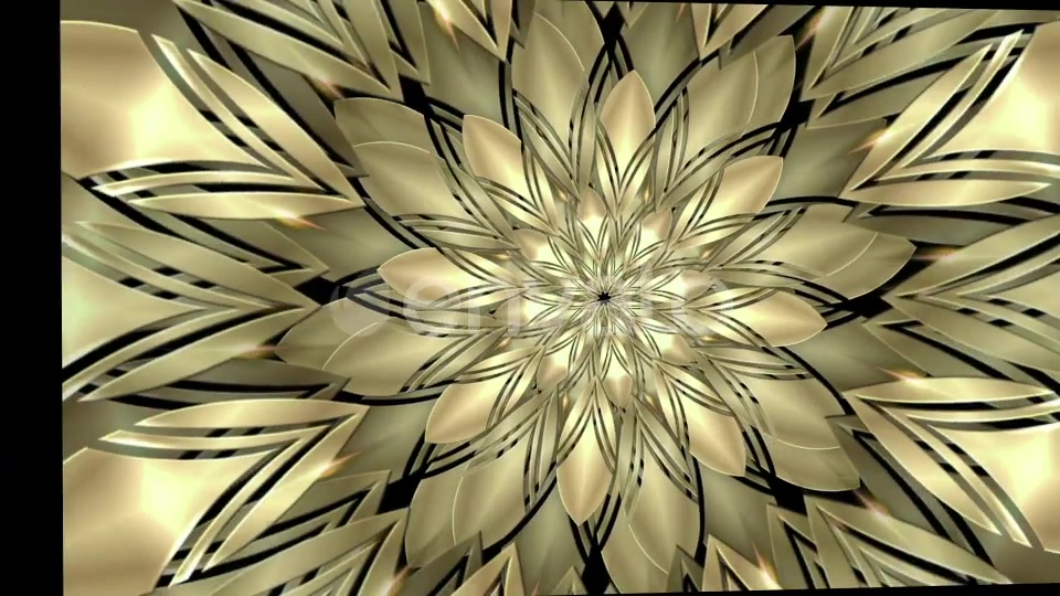 Golden Flower Videohive 23146761 Motion Graphics Image 5
