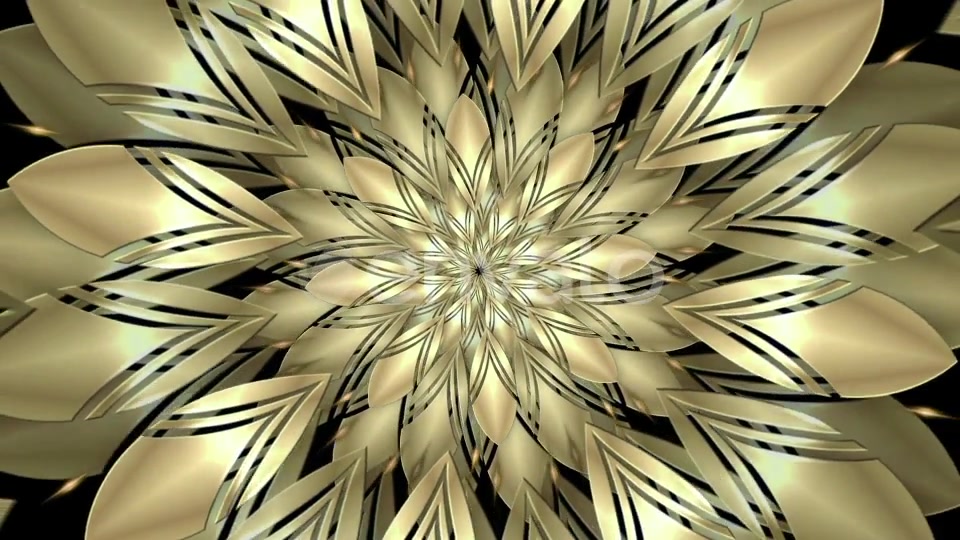 Golden Flower Videohive 23146761 Motion Graphics Image 6
