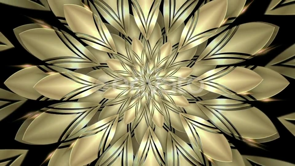 Golden Flower Videohive 23146761 Motion Graphics Image 7