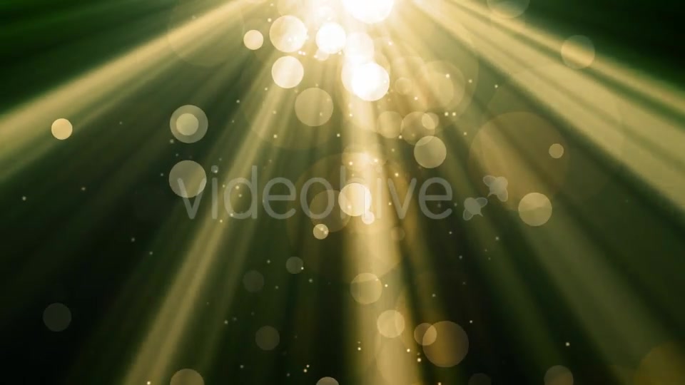 Golden Heveanly Light Videohive 19607185 Motion Graphics Image 4