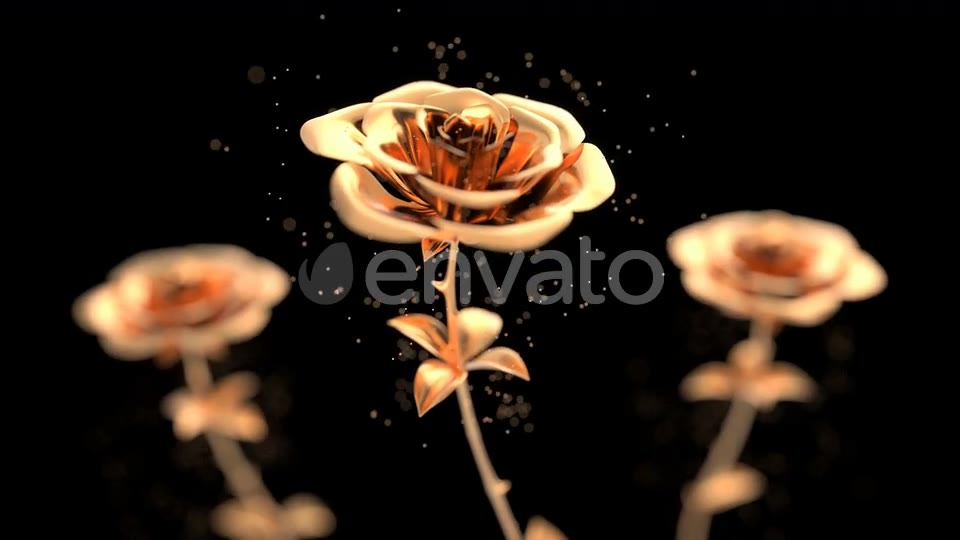 Golden roses blooming with particles Videohive 24788628 Motion Graphics Image 2