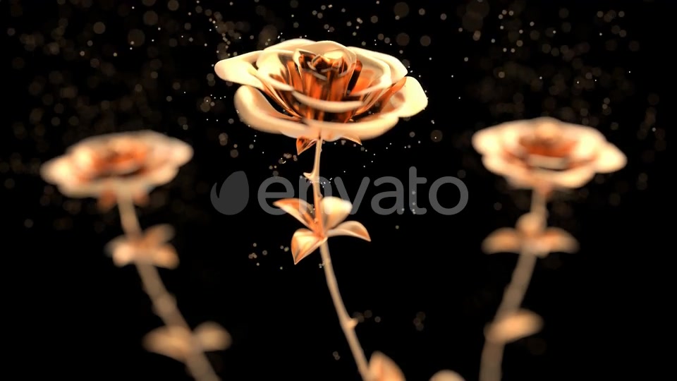 Golden roses blooming with particles Videohive 24788628 Motion Graphics Image 6