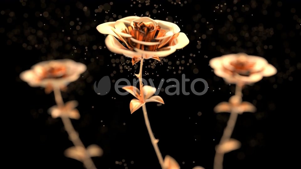 Golden roses blooming with particles Videohive 24788628 Motion Graphics Image 8