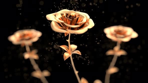 Golden roses blooming with particles - Videohive Download 24788628