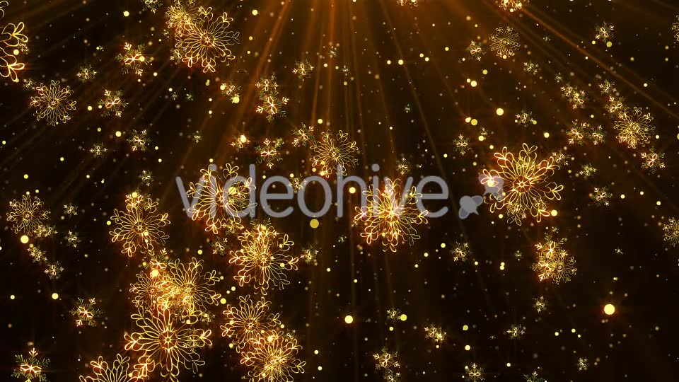 Golden Snowflakes Loop Videohive 20859017 Motion Graphics Image 6