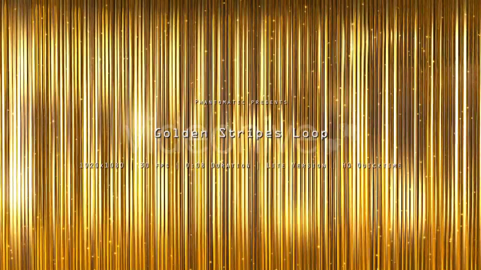 Golden Stripes Glitter 11 Videohive 20869634 Motion Graphics Image 4