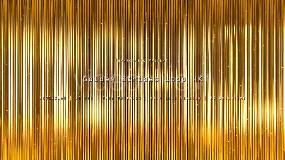 Golden Stripes Glitter 11 Videohive 20872625 Motion Graphics Image 4