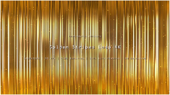 Golden Stripes Glitter 11 - 20872625 Videohive Download