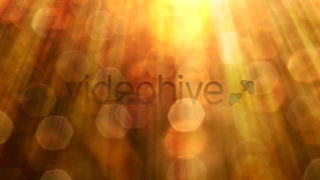 Golden Videohive 3861448 Motion Graphics Image 11