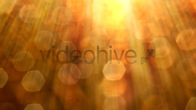 Golden Videohive 3861448 Motion Graphics Image 6