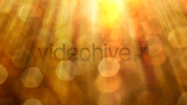 Golden Videohive 3861448 Motion Graphics Image 7