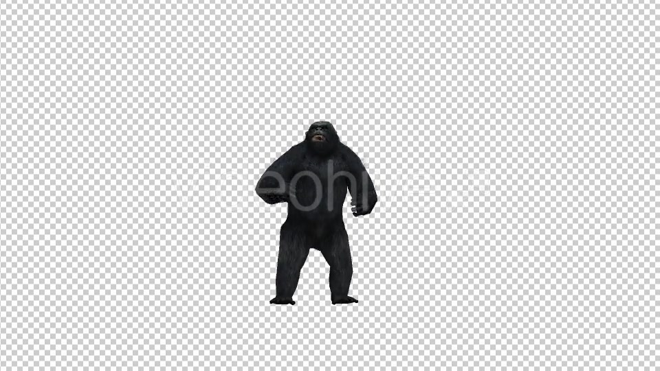 Gorilla Pound Videohive 21178642 Motion Graphics Image 4
