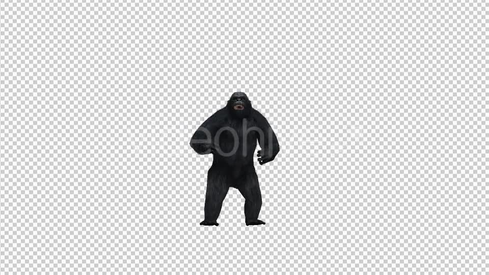 Gorilla Pound Videohive 21178642 Motion Graphics Image 6