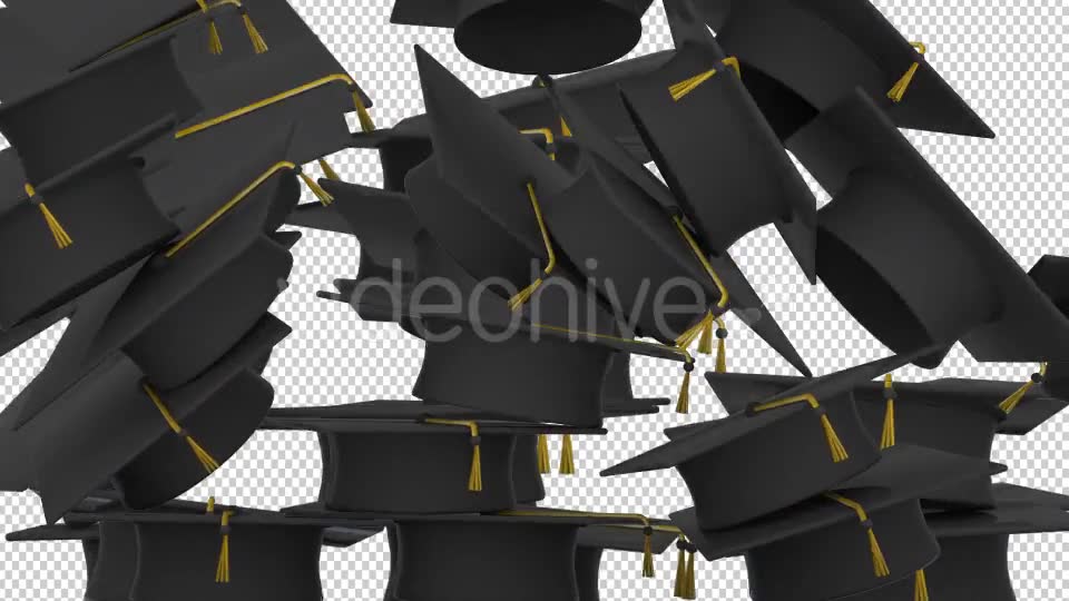 Graduation Caps Transition Videohive 17756629 Motion Graphics Image 2