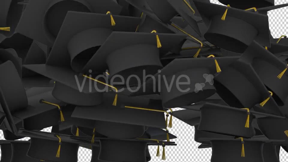 Graduation Caps Transition Videohive 17756629 Motion Graphics Image 3