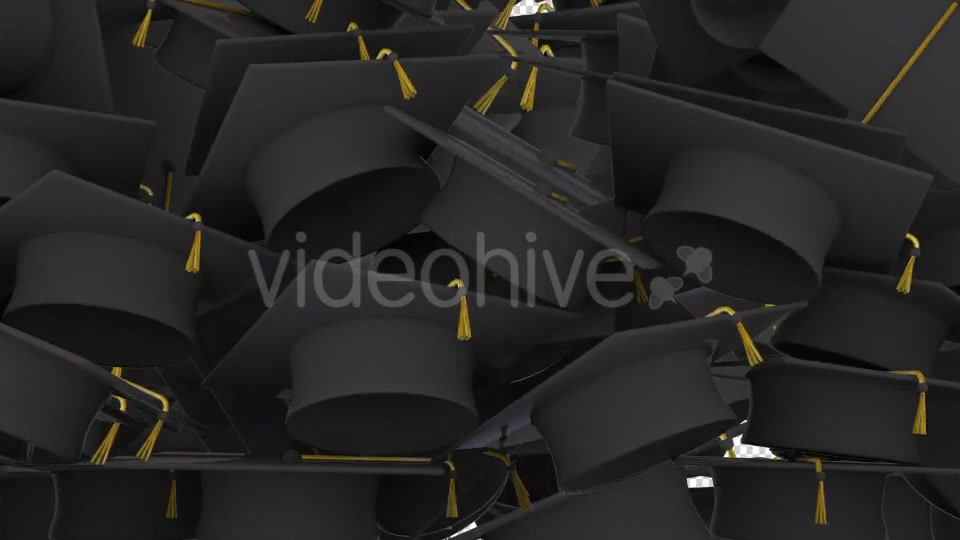Graduation Caps Transition Videohive 17756629 Motion Graphics Image 4