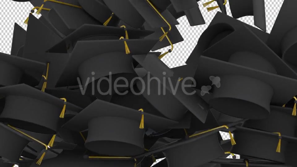 Graduation Caps Transition Videohive 17756629 Motion Graphics Image 5