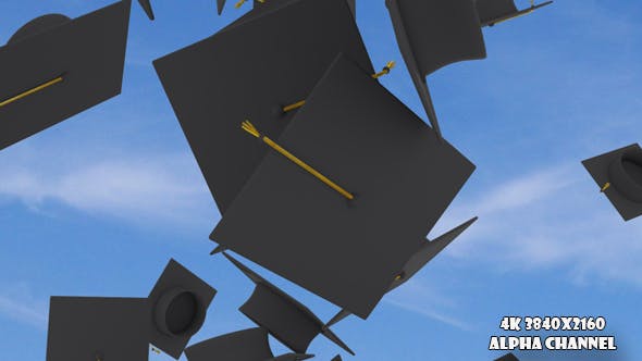 Graduation Caps Transition 2 - 18220382 Videohive Download