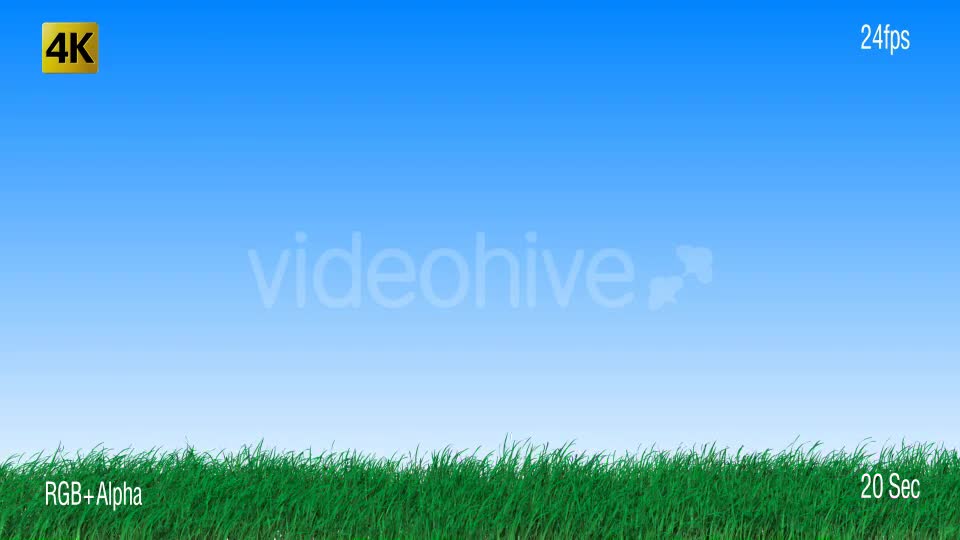 Grass Videohive 19725940 Motion Graphics Image 1