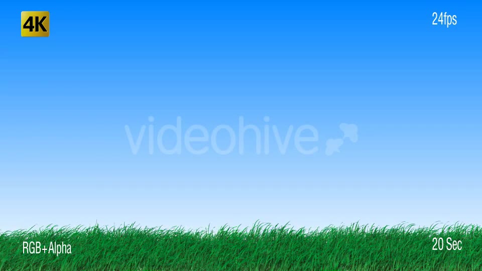 Grass Videohive 19725940 Motion Graphics Image 2