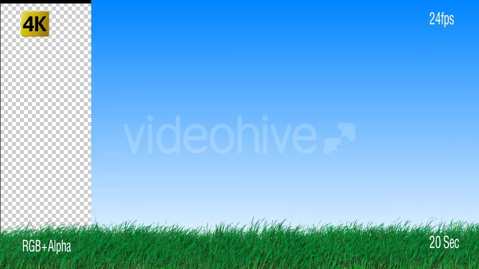 Grass Videohive 19725940 Motion Graphics Image 4