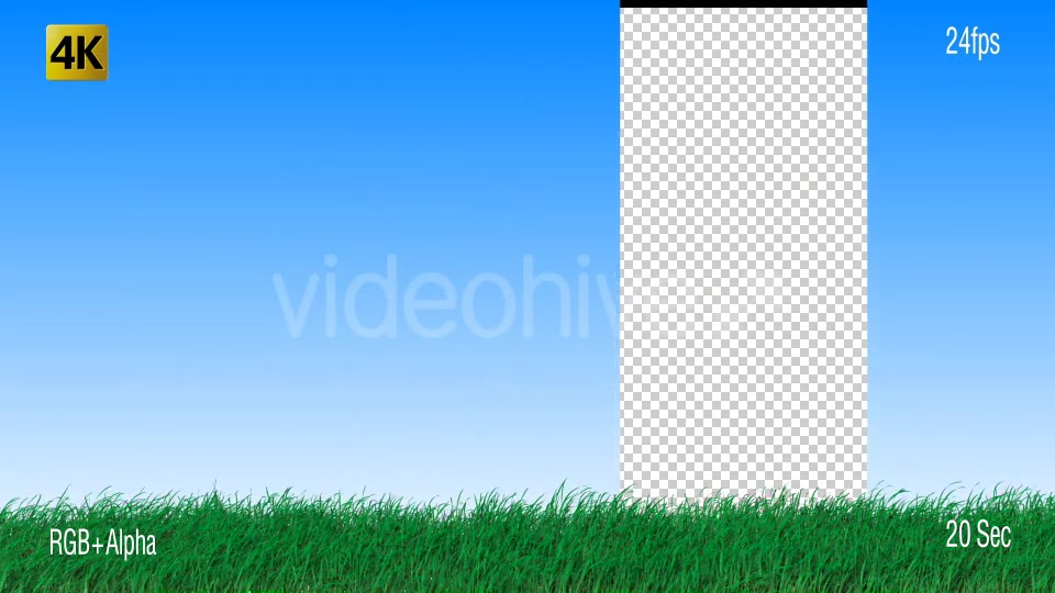 Grass Videohive 19725940 Motion Graphics Image 6