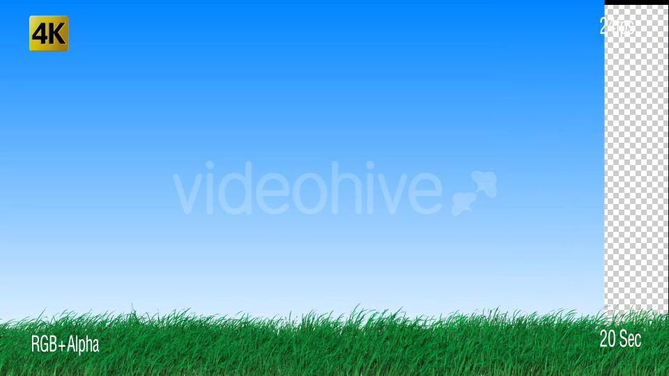 Grass Videohive 19725940 Motion Graphics Image 7