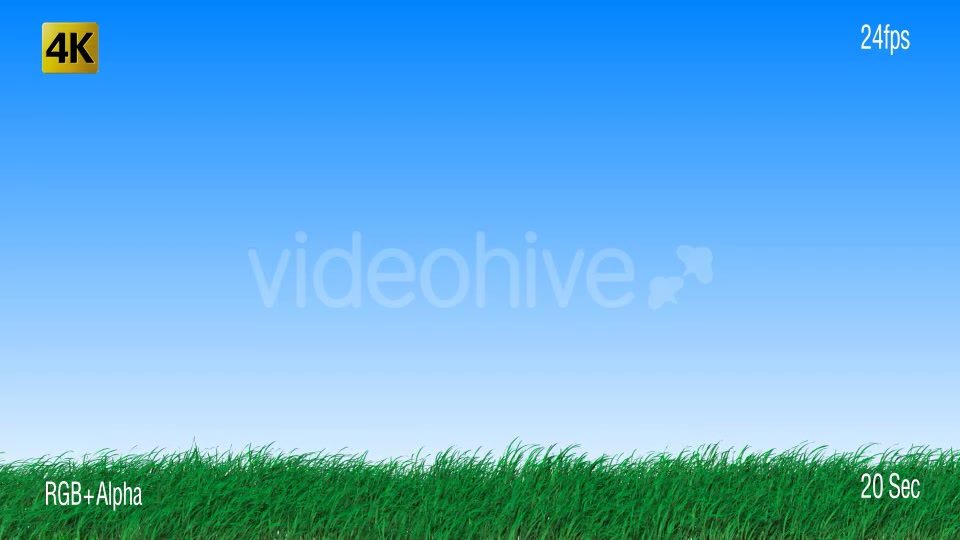 Grass Videohive 19725940 Motion Graphics Image 8