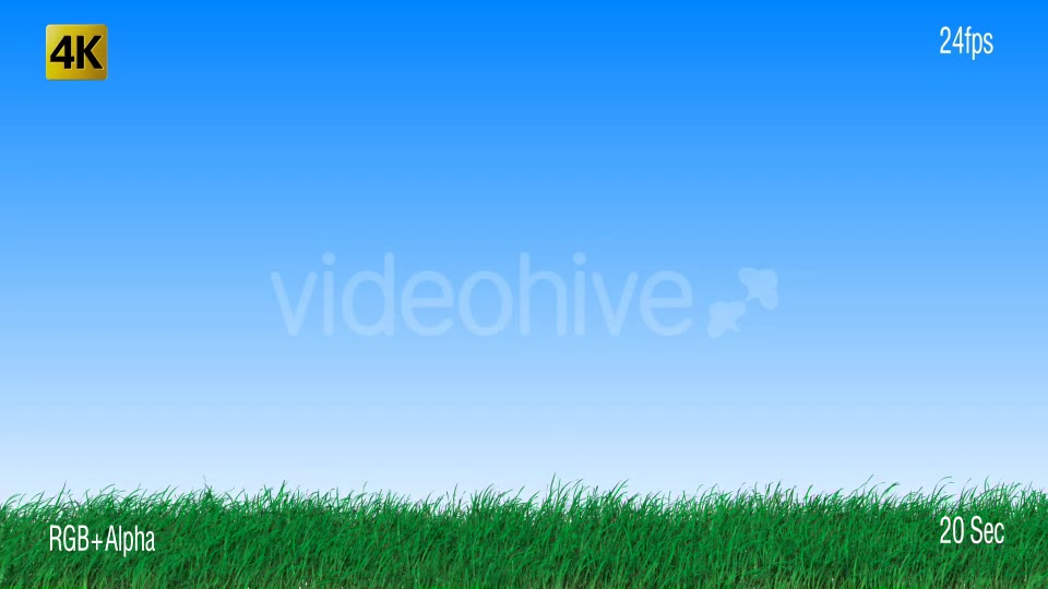 Grass Videohive 19725940 Motion Graphics Image 9