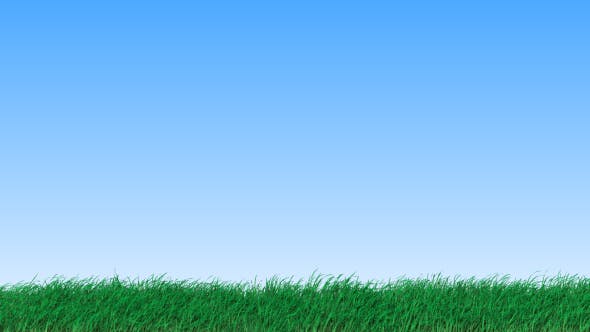 Grass - 19725940 Videohive Download