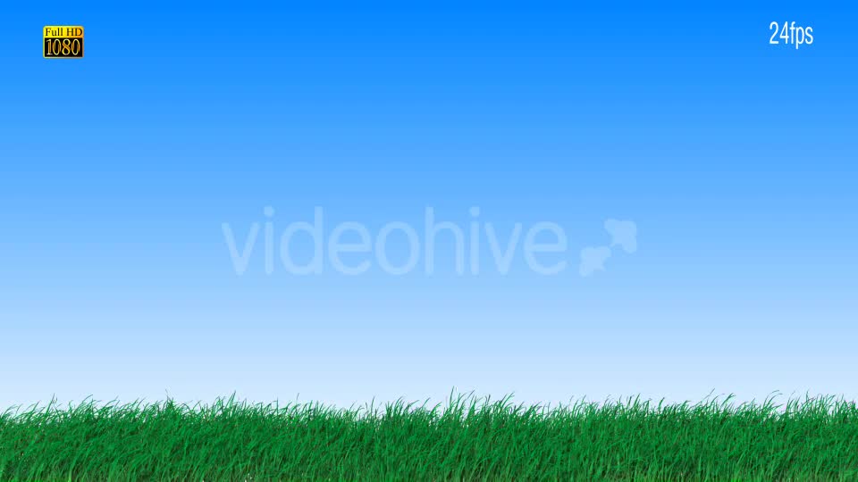 Grass Videohive 16615014 Motion Graphics Image 1