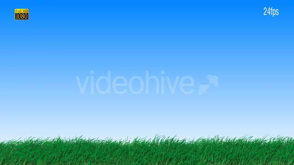 Grass Videohive 16615014 Motion Graphics Image 2