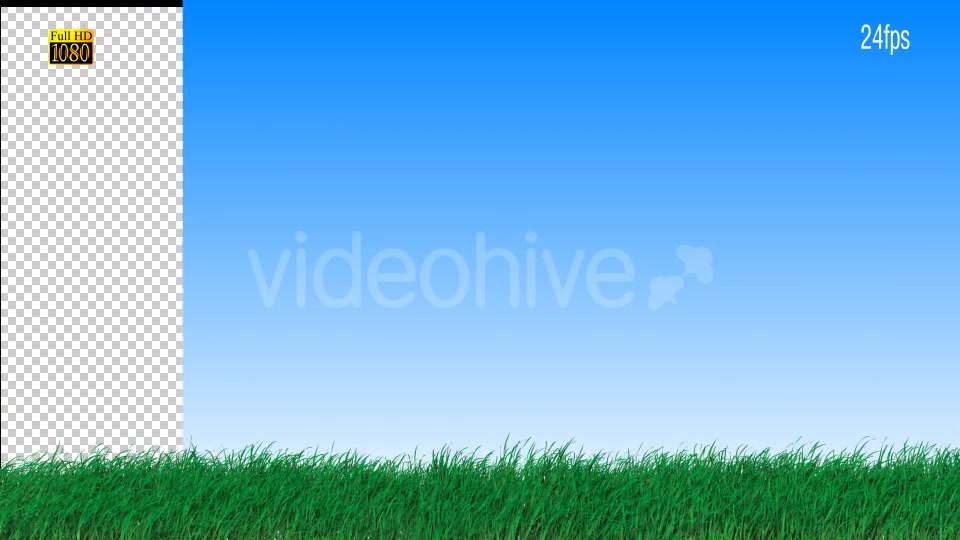 Grass Videohive 16615014 Motion Graphics Image 4