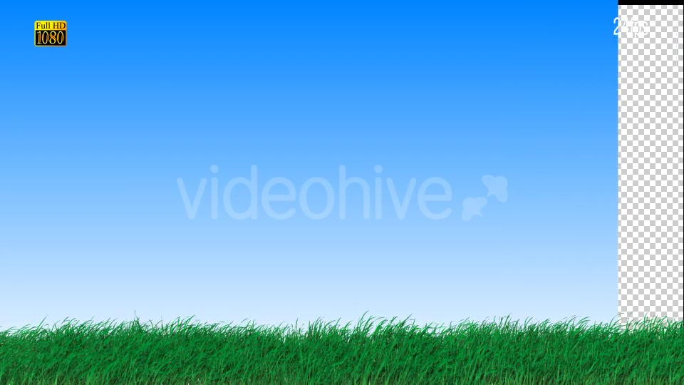 Grass Videohive 16615014 Motion Graphics Image 7