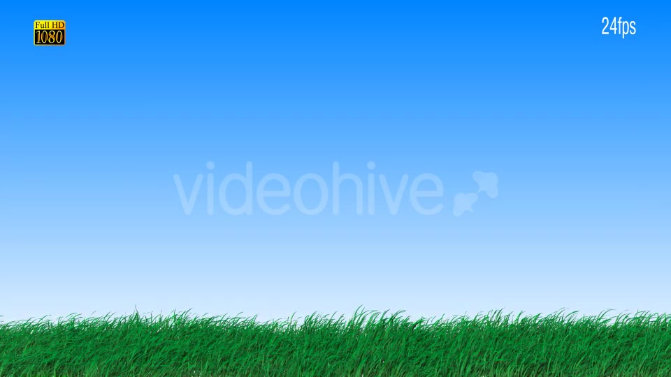 Grass Videohive 16615014 Motion Graphics Image 8