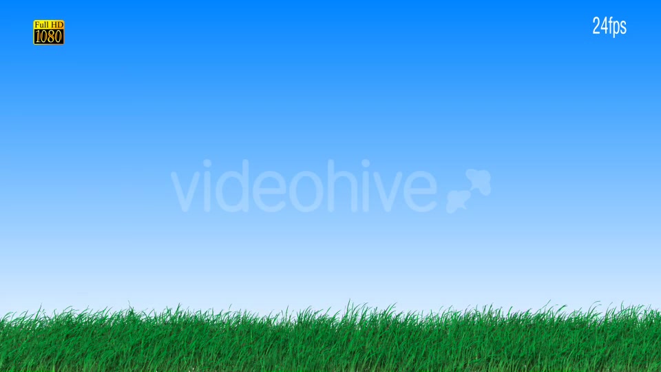 Grass Videohive 16615014 Motion Graphics Image 9