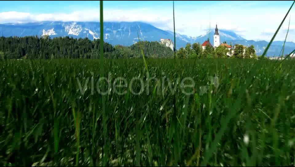 Grass Field Videohive 19698753 Motion Graphics Image 10