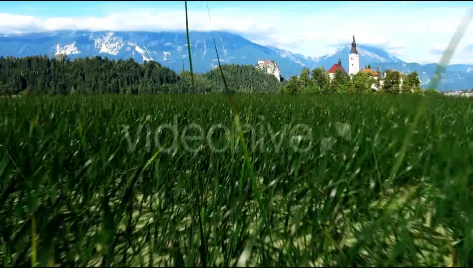 Grass Field Videohive 19698753 Motion Graphics Image 11