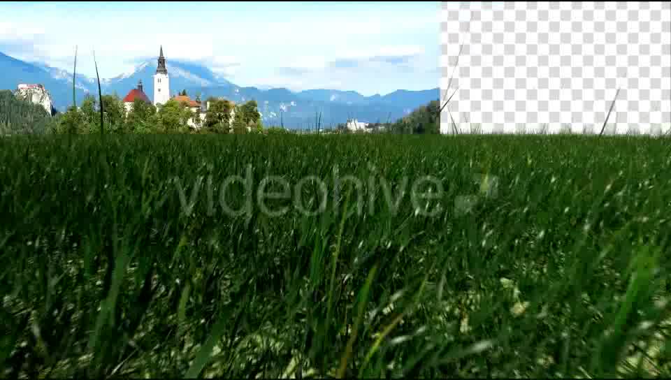 Grass Field Videohive 19698753 Motion Graphics Image 12