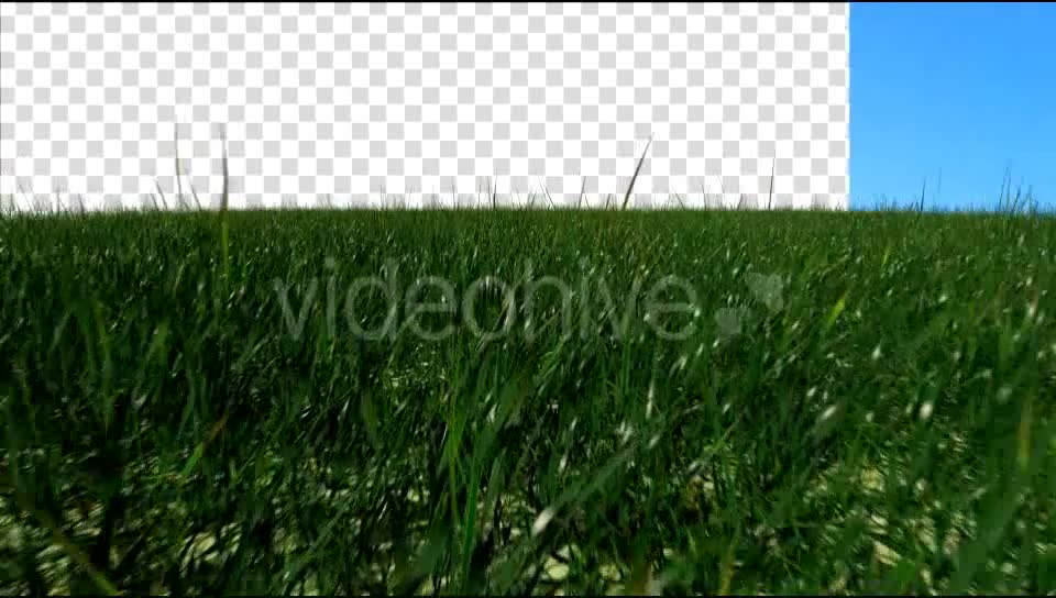 Grass Field Videohive 19698753 Motion Graphics Image 2