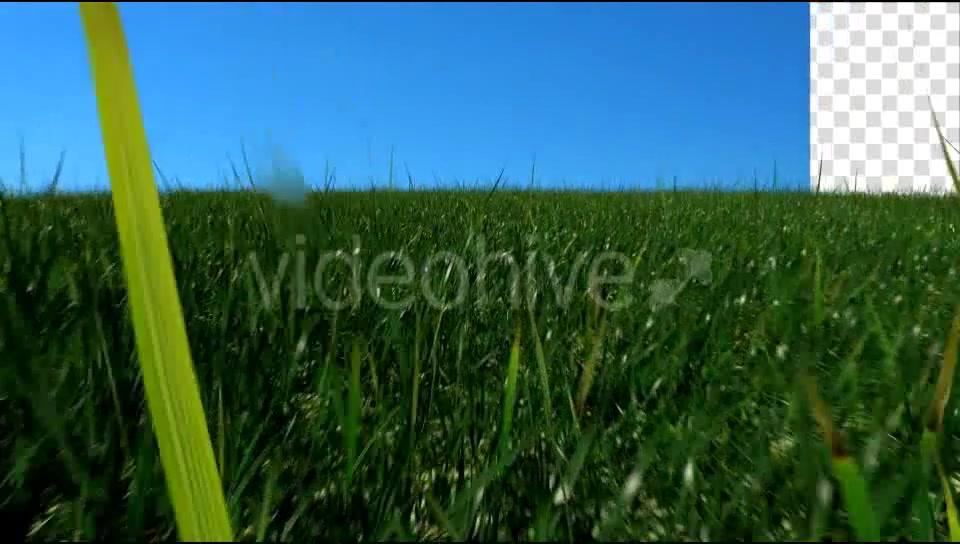 Grass Field Videohive 19698753 Motion Graphics Image 4