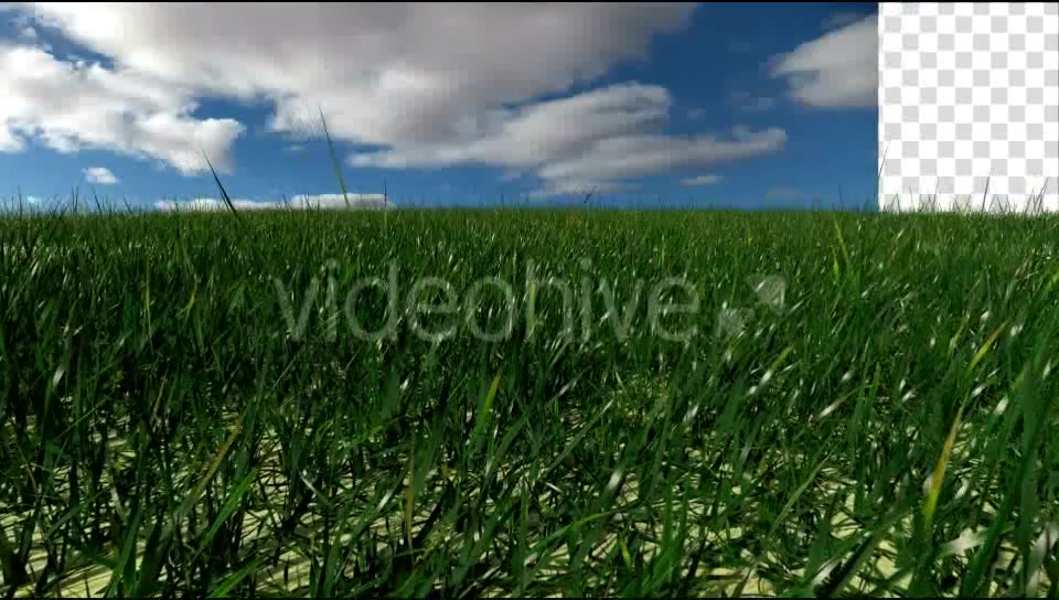 Grass Field Videohive 19698753 Motion Graphics Image 7