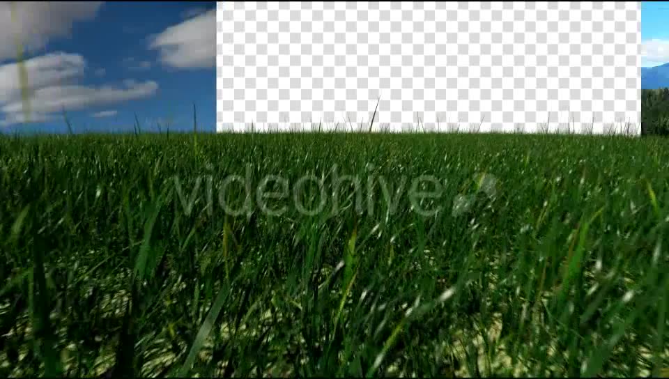 Grass Field Videohive 19698753 Motion Graphics Image 8